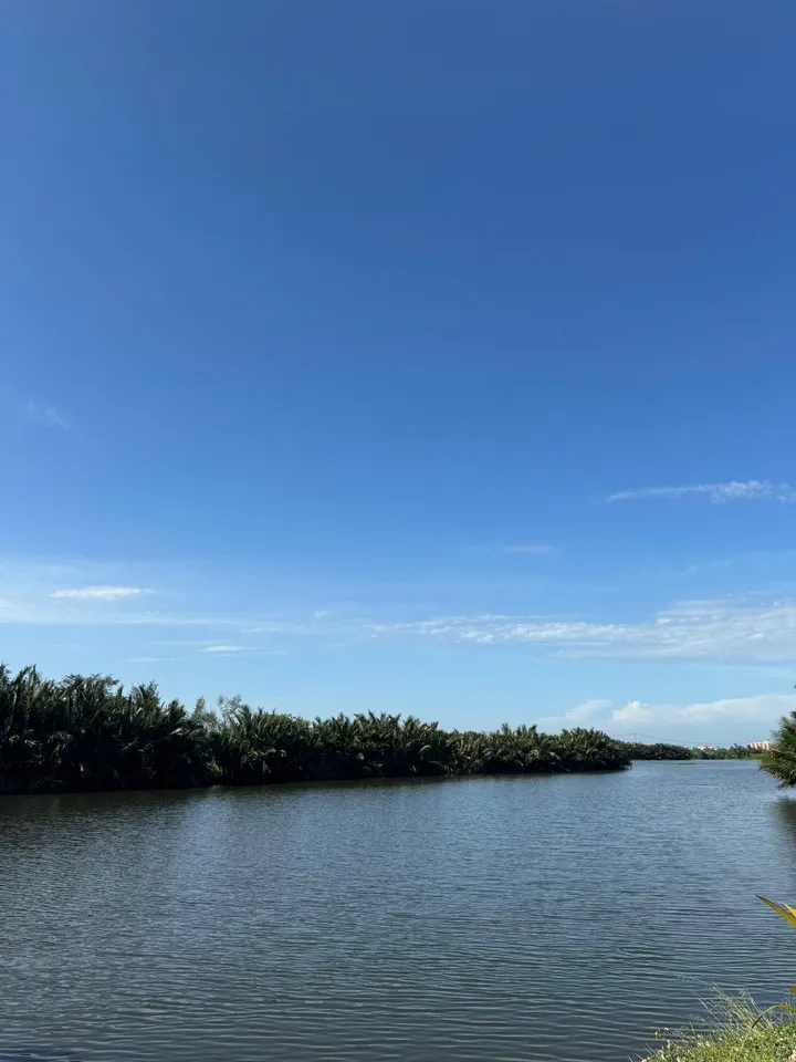 HÀNG HIẾM: Bán Lô Góc 2 Mặt Tiền View Sông Và View Làng Rau Trà Quế Cực Hiếm Tại Hội An (MS558a)